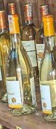Baron D'arignac